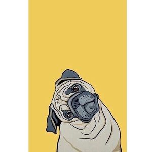 Meet your Posher, Brianne